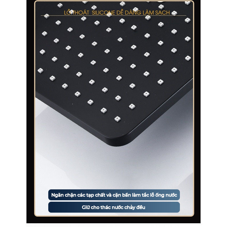 cay-sen-nong-lanh-02-06