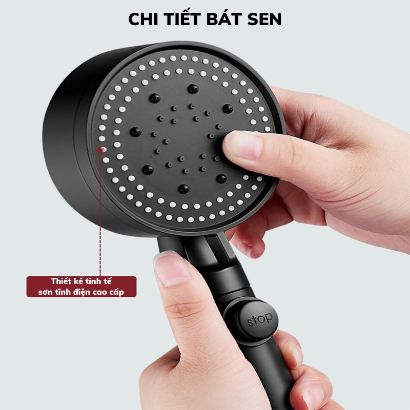 voi-sen-tang-ap-13-09